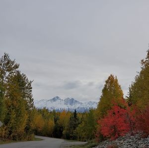 Meet your Posher, Hee jin